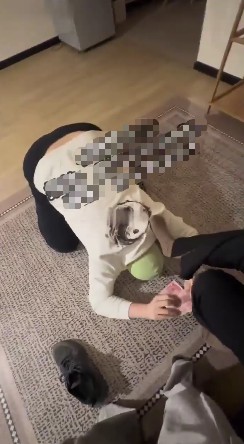 M男人脸炮台侍奉小神情侣主爱爱_口服阴毛龙种在线视频插图2